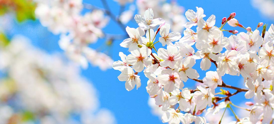 安博app官方端入口新手怎么玩教学